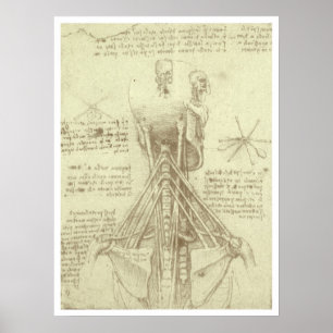 Menschliche Anatomie Wirbelsäule von Leonardo da V Poster