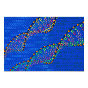 Menschliche DNS und synthetisches DNS-Plakat Fotodruck