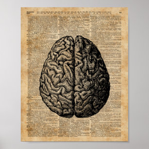Menschliche Hirn-Vintage-Illustration Wörterbuch K Poster
