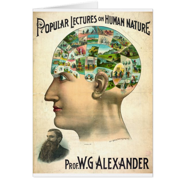 Menschliche Natur (Vorne)