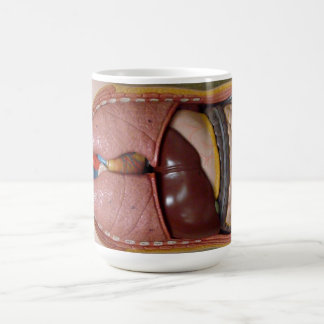 Menschliche Organe, der Thorax Kaffeetasse