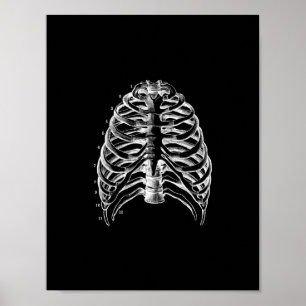 Menschliche Ribcage Anatomie im Schwarzweiss-Druck Poster