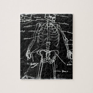 menschliche skeleton Anatomie yaie Tokyos Puzzle