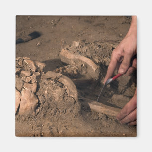 Menschliche Überreste Magnet