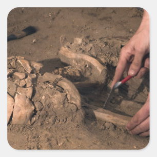 Menschliche Überreste Quadratischer Aufkleber