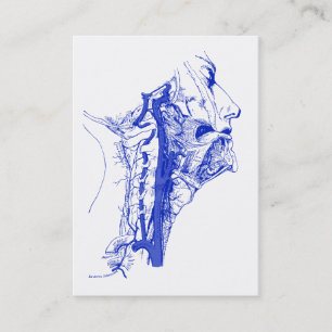 Menschliche vertebrale Arterien des antiken Visitenkarte