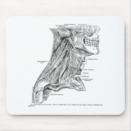 Menschliche Vintage Anatomie-Muskeln des Halses Mousepad
