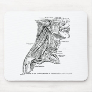 Menschliche Vintage Anatomie-Muskeln des Halses Mousepad