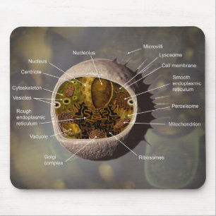 Menschliche Zelle mousepad