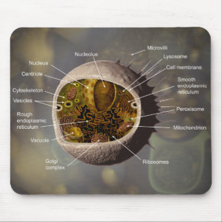 Menschliche Zelle mousepad