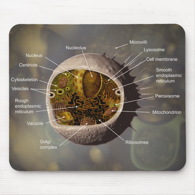 Menschliche Zelle mousepad (Vorne)