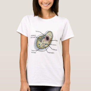 Menschliche Zellen-Biologie-T - Shirts