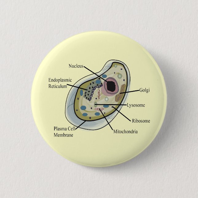 Menschliche Zellen-Biologie-T - Shirts Button (Vorderseite)