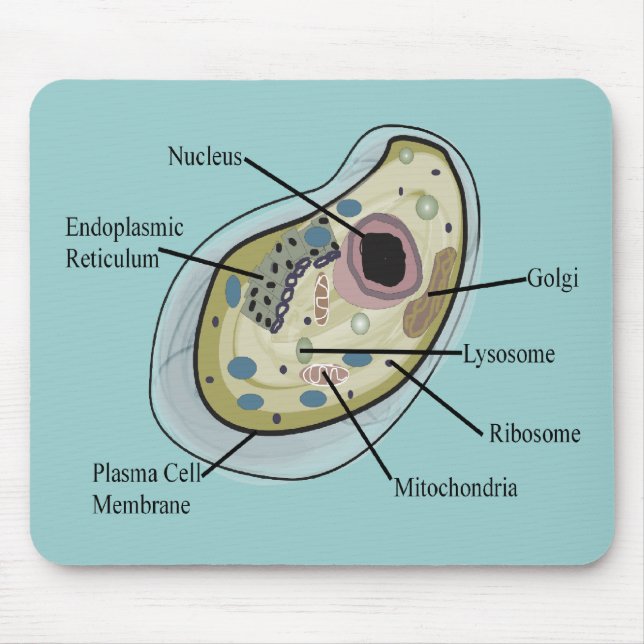 Menschliche Zellen-Biologie-T - Shirts Mousepad (Vorne)