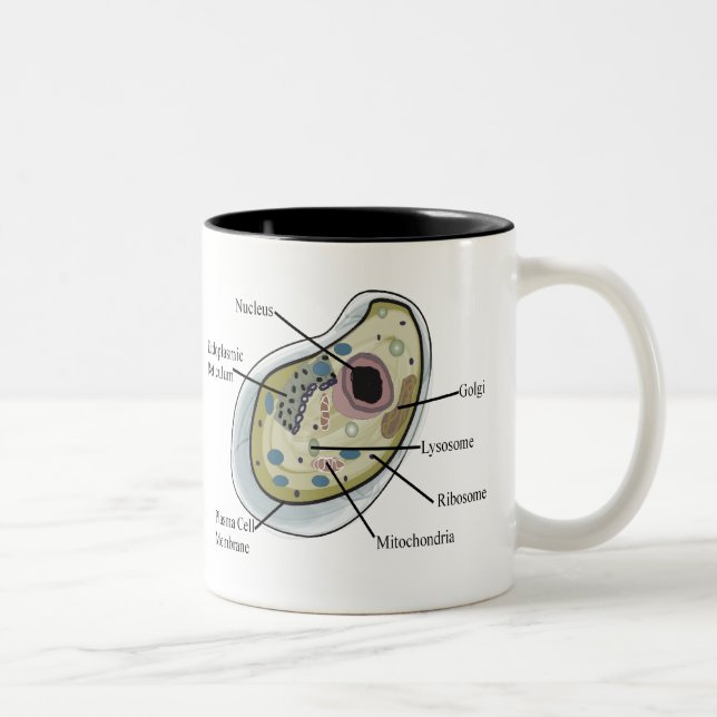 Menschliche Zellen-Biologie-T - Shirts Zweifarbige Tasse (Rechts)