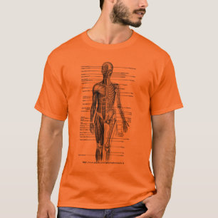 Menschlicher Körper medizinische Diagramm-T-Stück T-Shirt