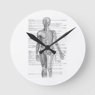 Menschliches Anatomie-Diagramm Runde Wanduhr
