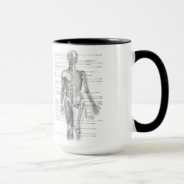 Menschliches Anatomie-Diagramm Tasse (Rechts)