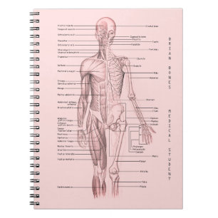Menschliches Anatomie-medizinisches Notizblock