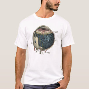 Menschliches Augen-Anatomie 1902 Vintag T-Shirt