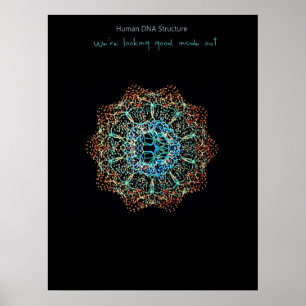 Menschliches DNS-Plakat Poster