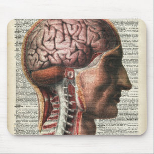 Menschliches Gehirn-Anatomie Mousepad