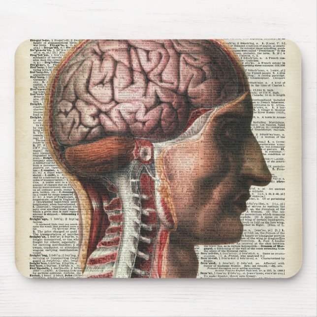 Menschliches Gehirn-Anatomie Mousepad (Vorne)