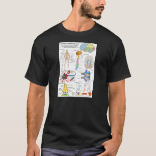 Menschliches Gehirn und zentrales T-Shirt