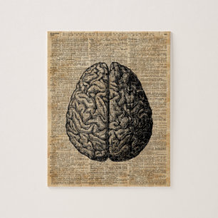 Menschliches Gehirn Vintage-Illustration Wörterbuc Puzzle