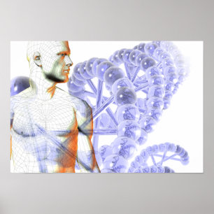 Menschliches Genom Poster