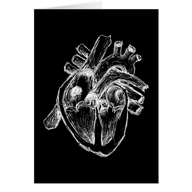 Menschliches Herz (Vorne)