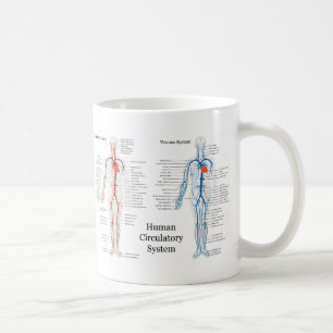 Menschliches Kreislaufsystem der Arterien und der Kaffeetasse