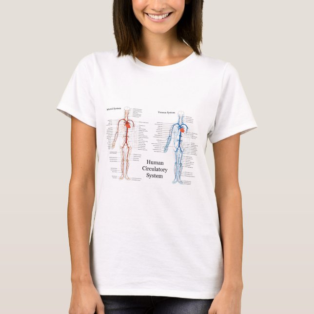 Menschliches Kreislaufsystem der Arterien und der T-Shirt (Vorderseite)