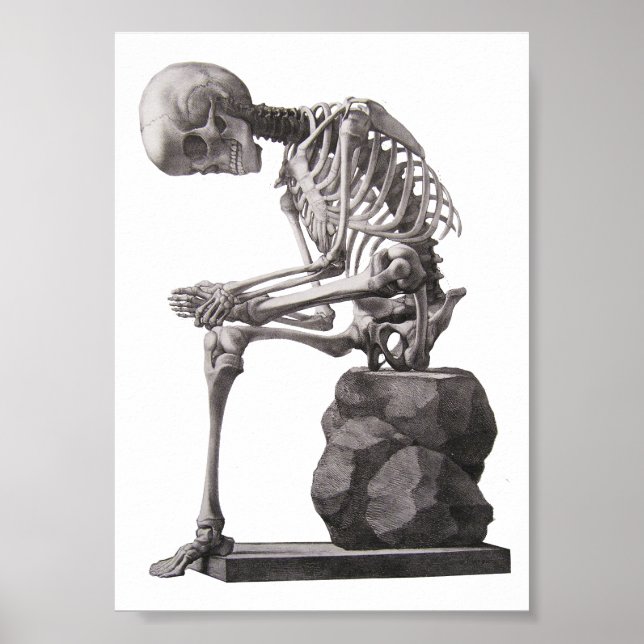 Menschliches Skelett Anatomie Kunst Poster (Vorne)
