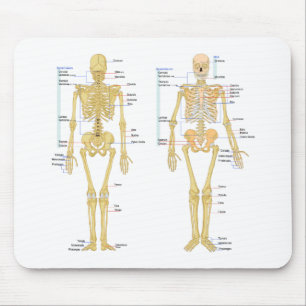 Menschliches Skelett beschriftet Anatomiediagramm Mousepad