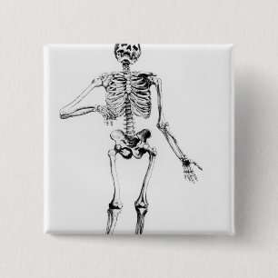 Menschliches Skelett Button