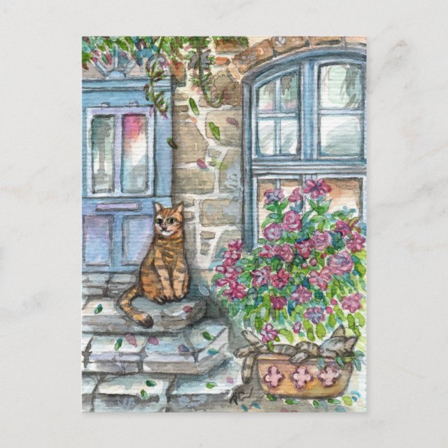 Meow an der Tür Postkarte (Vorderseite)