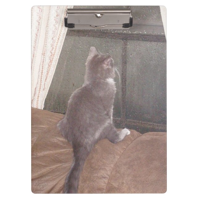 Meow Cats 11 Zwischenablage Klemmbrett (Vorderseite)