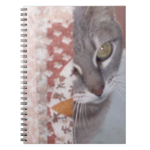 Meow Cats 13 Notebook Notizblock