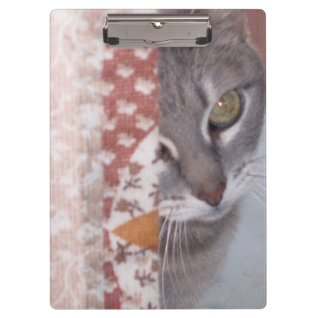 Meow Cats 13 Zwischenablage Klemmbrett (Vorderseite)