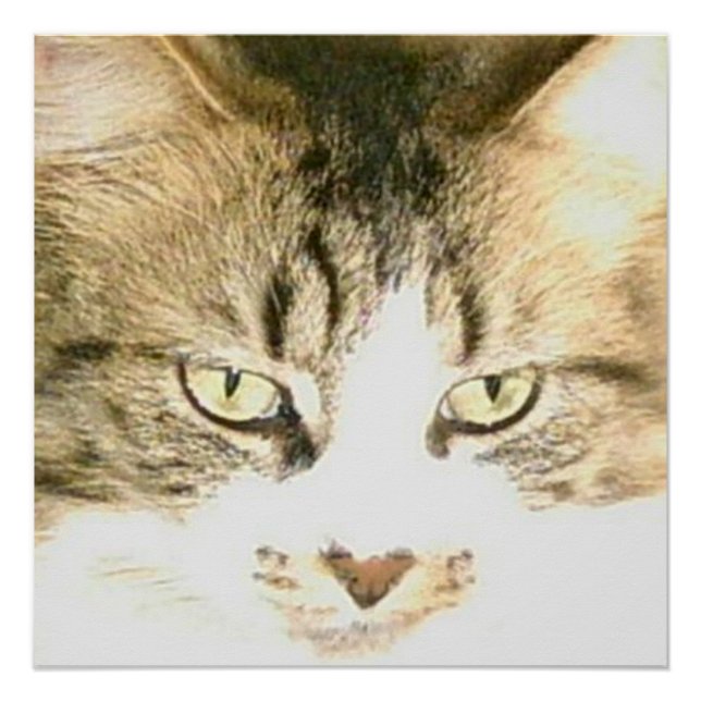 Meow Cats 14 Poster (Vorderseite)