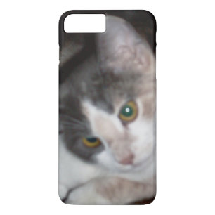 Meow Cats 17 iPhone-Fälle Case-Mate iPhone Hülle
