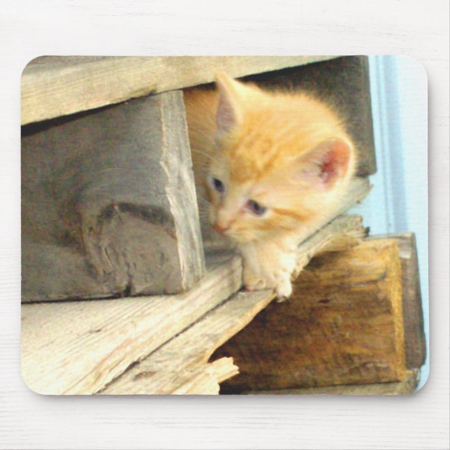 Meow Cats 1 MausPad (Vorne)
