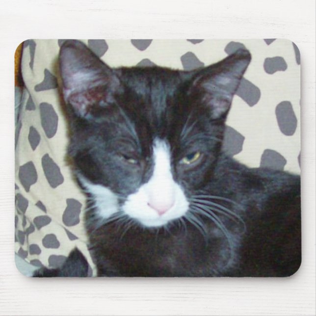 Meow Cats 20 Mousepad (Vorne)