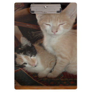 Meow Cats 28 Zwischenablage Klemmbrett
