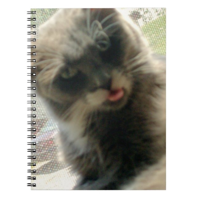 Meow Cats 2 Notebook Notizblock (Vorderseite)