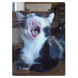 Meow Cats 30 Zwischenablage Klemmbrett
