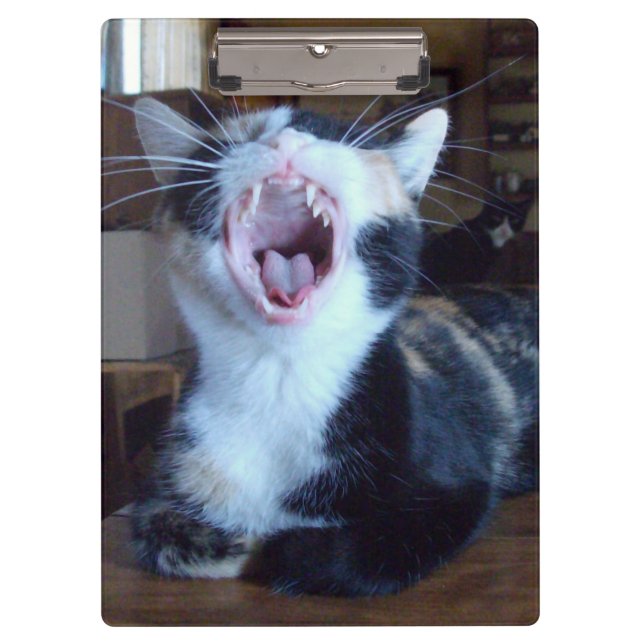 Meow Cats 30 Zwischenablage Klemmbrett (Vorderseite)
