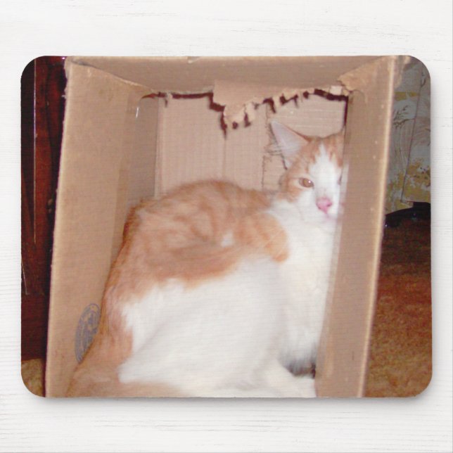 Meow Cats 31 Mousepad (Vorne)