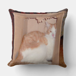 Meow Cats 31 Square Throw Kissen